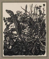 KG 09559
<br/>
Hagedis
<br/>
<em>Gelder, Dirk van (1907-1990)</em>